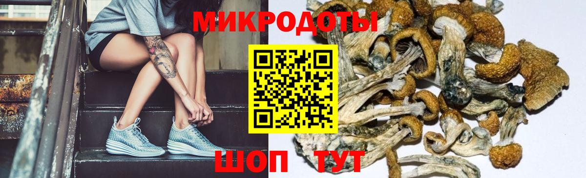 Галлюциногенные грибы мицелий  Вход с VPN  Сосновоборск 